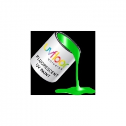 Pot de Peinture fluorescente 250 ml - VERT