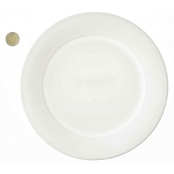 Assiette résine cassable