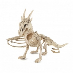 squelette Dragon 35 cm -Halloween