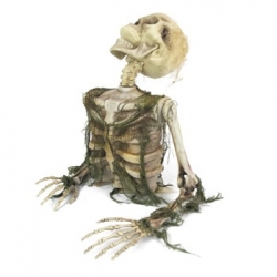 Squelette mort vivant effrayant 47 cm