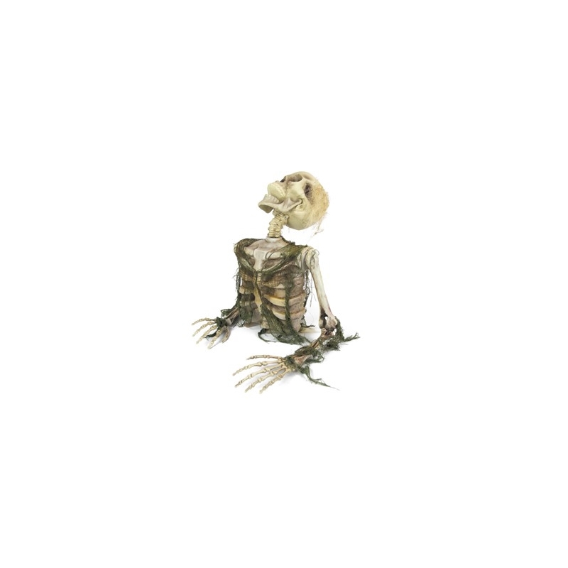 Squelette mort vivant effrayant 47 cm