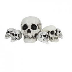 Filet de 6 tetes de mort tailles assorties (8,12 et 18 cm) -halloween
