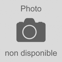 Prolongateur électrique 10 m - 10/16 A - 3G2,5 x Location/Jour